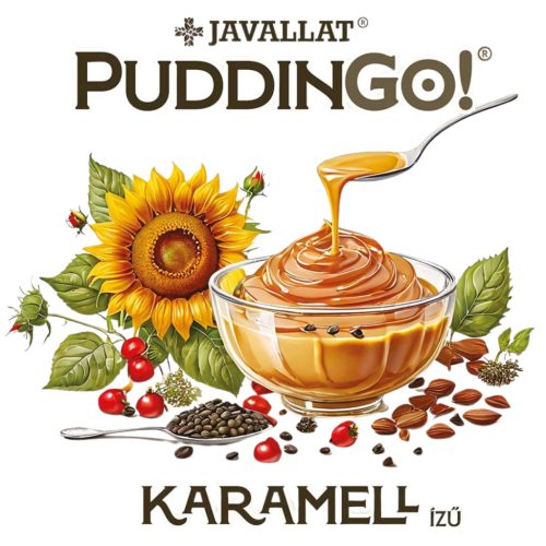 Instant-Puddingpulver mit Karamellgeschmack PuddinGo!®