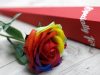 Luxus Seifenblume - Regenbogenrose