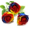 Luxus Seifenblume - Regenbogenrose