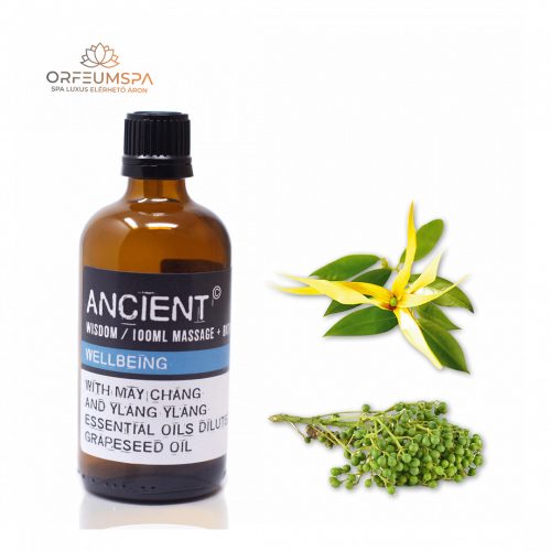 Gesundheitsstärkendes Massageöl Mix - 100ml