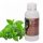 PFEFFERMINZE SAUNA DUFTÖL-EMULSION 100ml