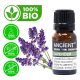 Lavendel Bio-Ätherisches Öl 10ml