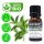 Teebaum Bio Ätherisches Öl 10ml