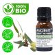 Eukalyptus Bio Ätherisches Öl 10ml