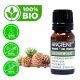 Zedernholz Bio Ätherisches Öl 10ml