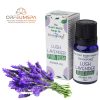 Stamford Pflanzenbasiertes Lavendel Aromaöl (10ml)