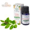 Stamford Pflanzliches Sandelholz Aromaöl (10ml)