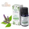 Stamford Pflanzliches Patchouli Aromaöl mit Gewürzen (10ml)