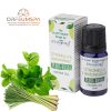  Stamford Pflanzenbasiertes Zitronengras-Aromaöl (10ml)
