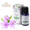 Stamford Pflanzliches Lilien-Aromaöl (10ml)