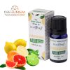  Stamford Aromatisches Energieöl auf Pflanzenbasis (10ml)
