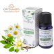 Stamford Pflanzliche Meditation Aromaöl (10ml)