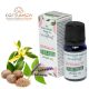  Stamford Plant Based Sensual Aromaöl (10ml)
