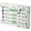 Räucherstäbchen auf pflanzlicher Basis – Aloe Vera