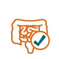 Emésztés támogatása