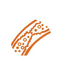 Koleszterin és vérzsír