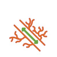 Hajszálerek egészsége